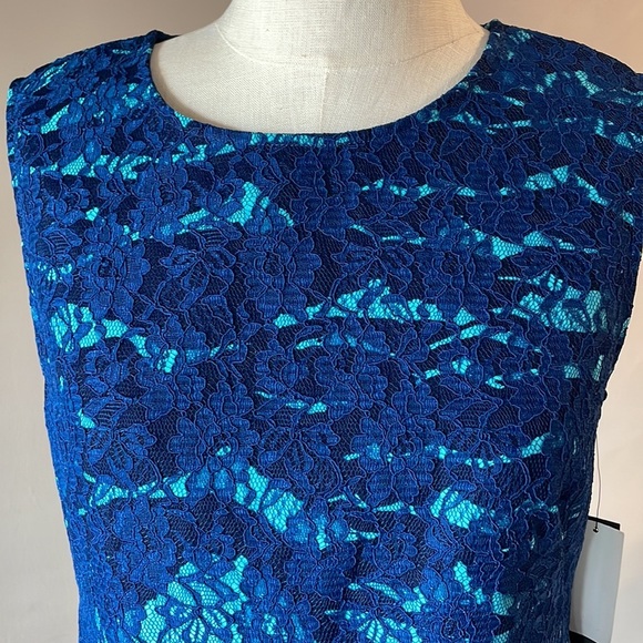 NWT Cynthia Steffe blue lace zebra pattern combo mini dress sheath size 8 - Picture 4 of 13